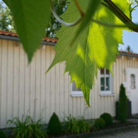 Gaestehaus Gaumenflug Am See Günzburg Buitenkant foto